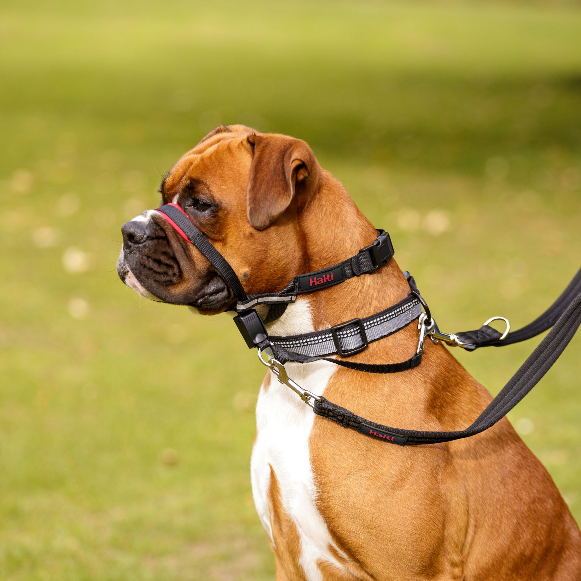 Optifit Headcollar dressyrnossele