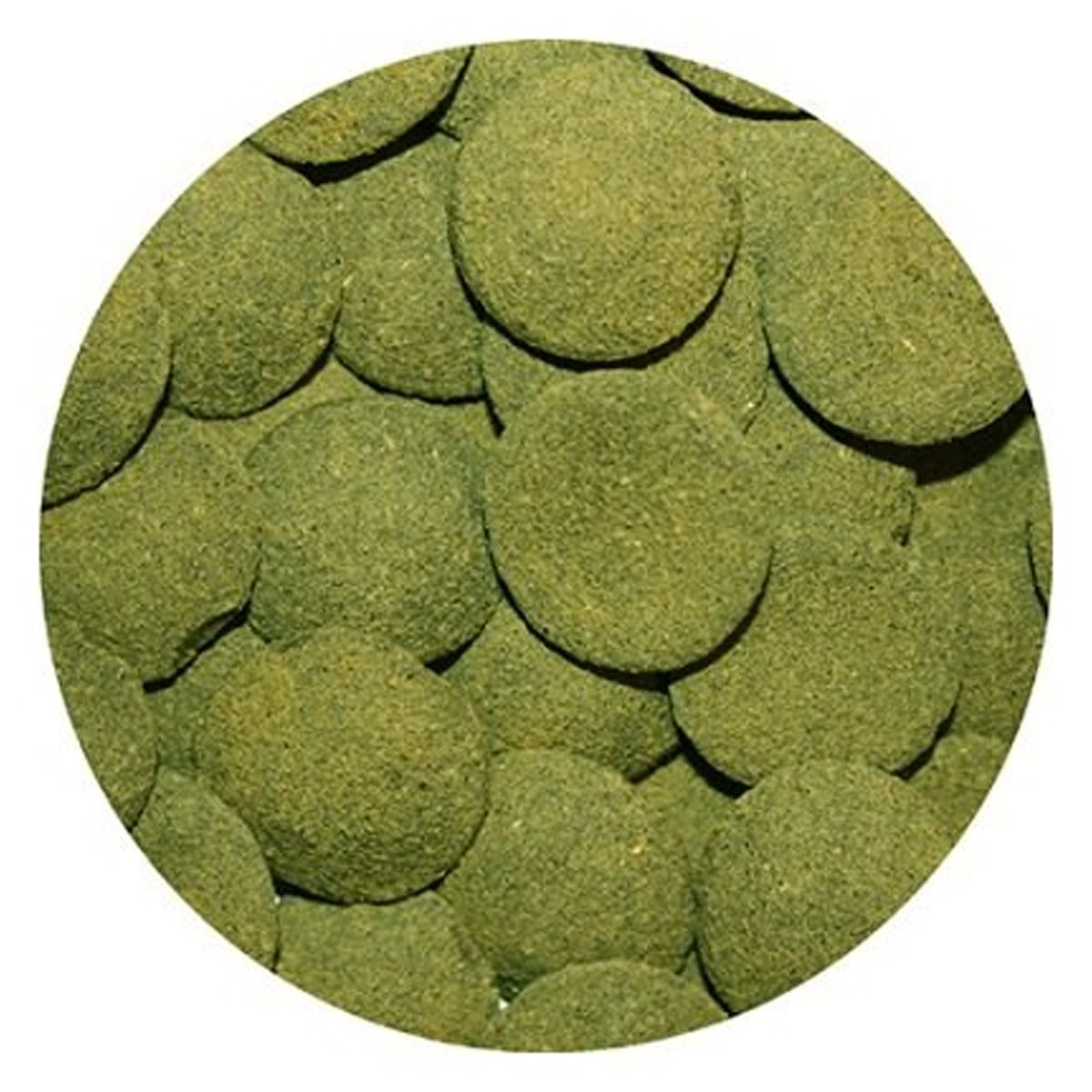 Product-img