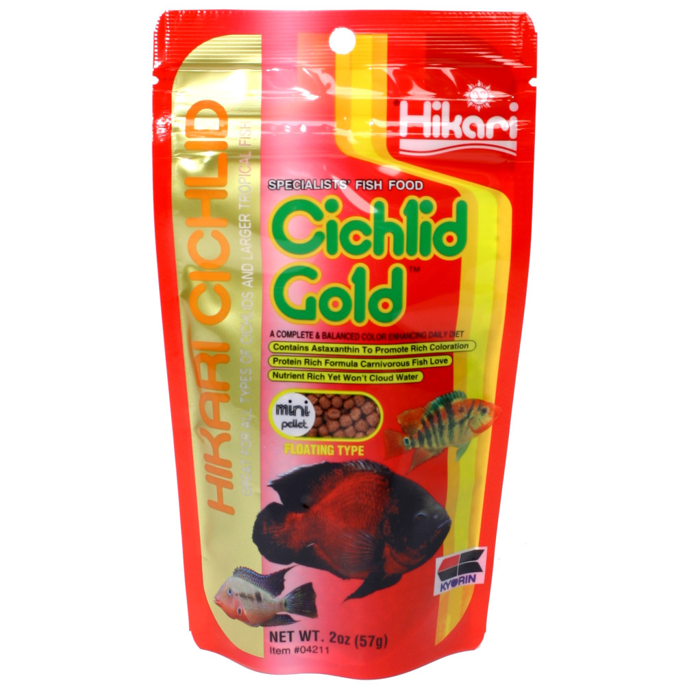 Ciklid Gold Färg Mini