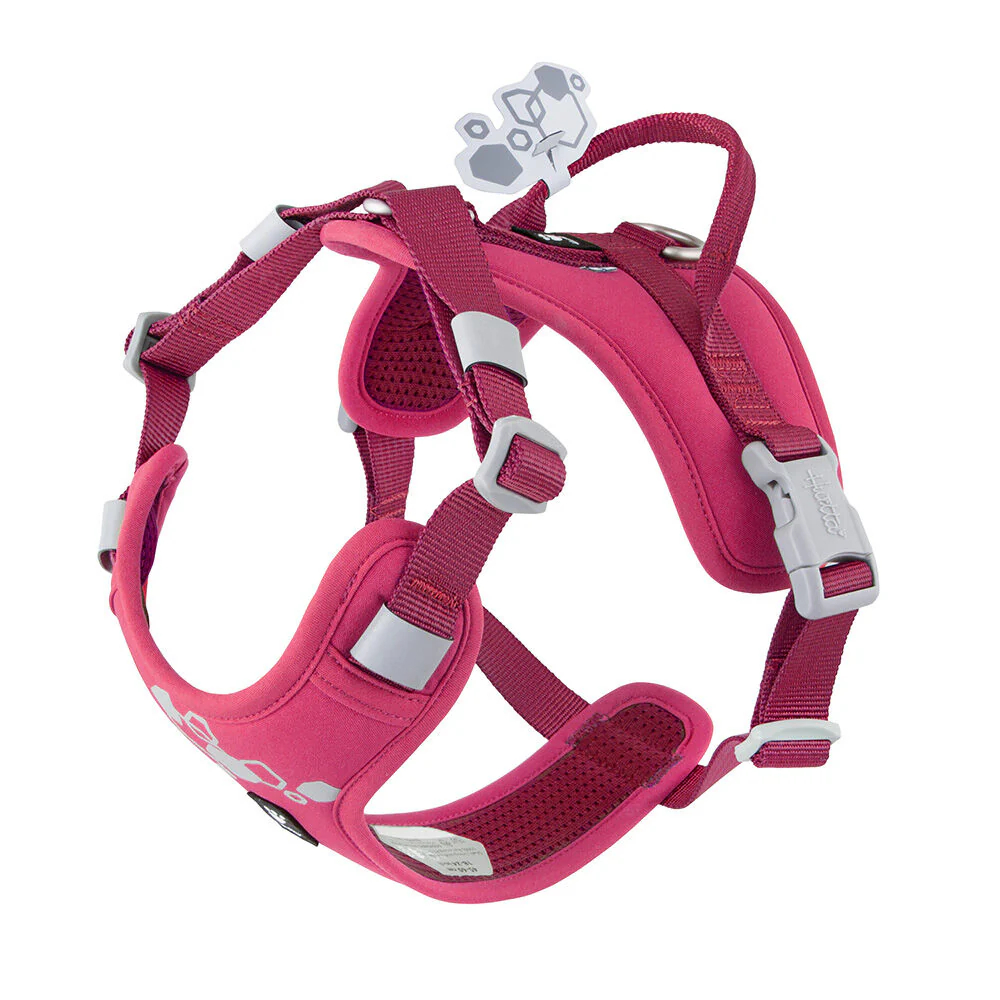 Weekend Warrior hundsele Rosa
