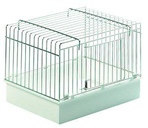 Fågelbadkar Parakit