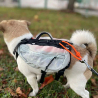 Trail Light Dog Backpack koiran reppu Harmaa