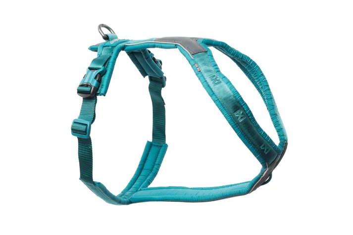 Line Harness 5.0 Hundesele Turkis