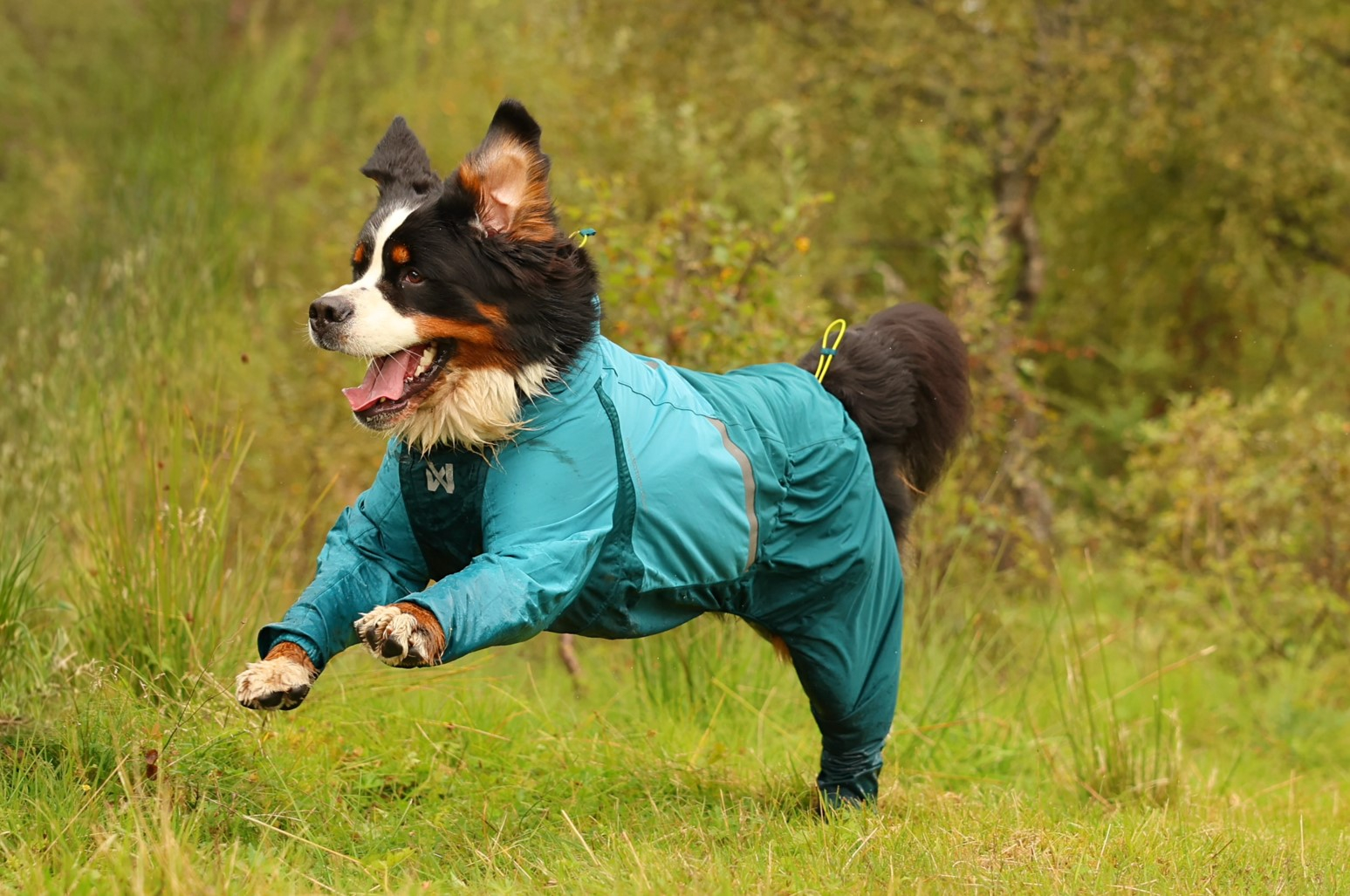 Fjord Overall Sadetekki Turkoosi