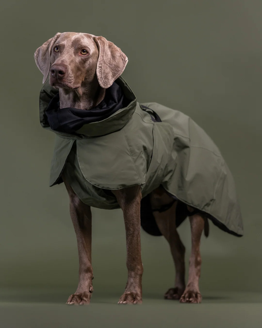 Visibility Winter Jacket Wool Takki Vihreä