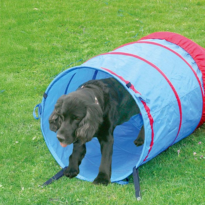 Agility tunneli 5m