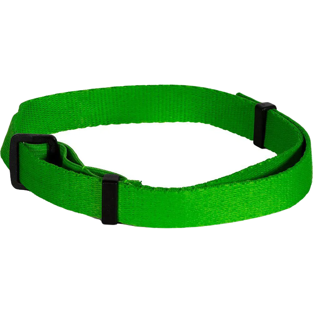 Fästinghalsband Hund