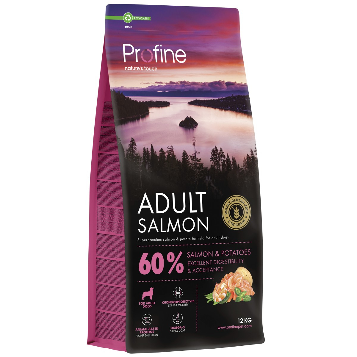 Dog Adult Salmon & Potatoes koiranruoka