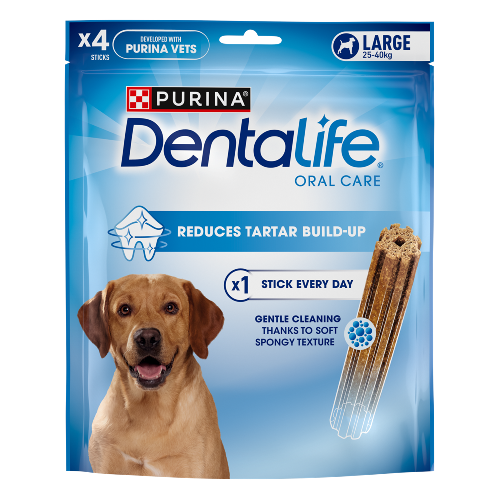 Dentalife Large Tyggepinne 4p