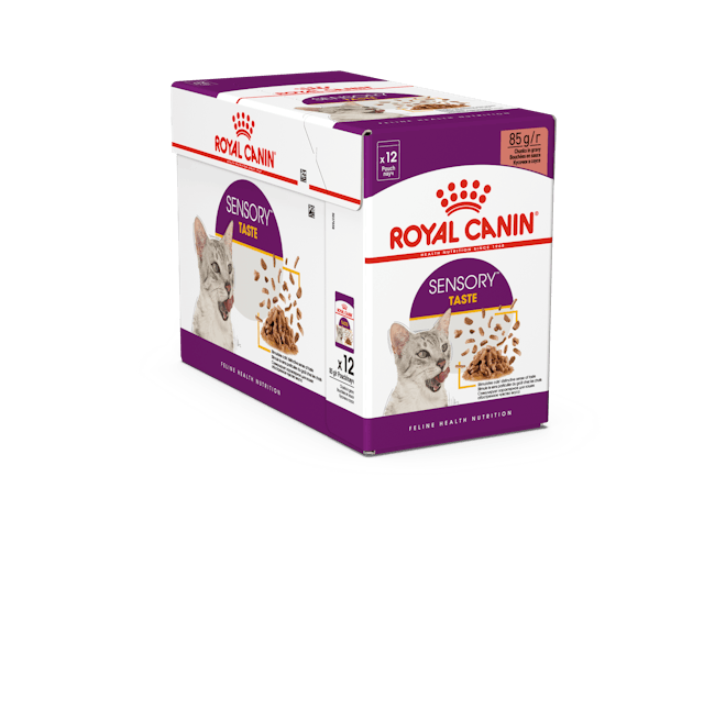 Sensory Taste Gravy märkäruoka kissalle 12x85g