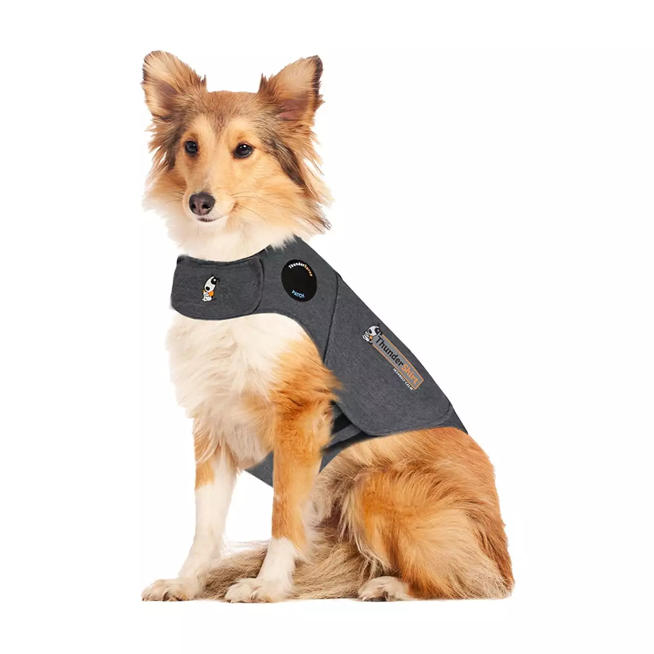 Thundershirt Koira
