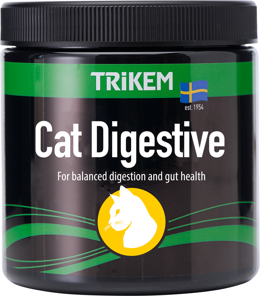 Digestive 200g