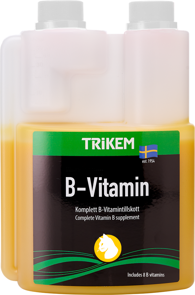 B-Vitamin 300ml