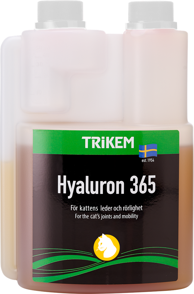 Hyaluron 365 300ml