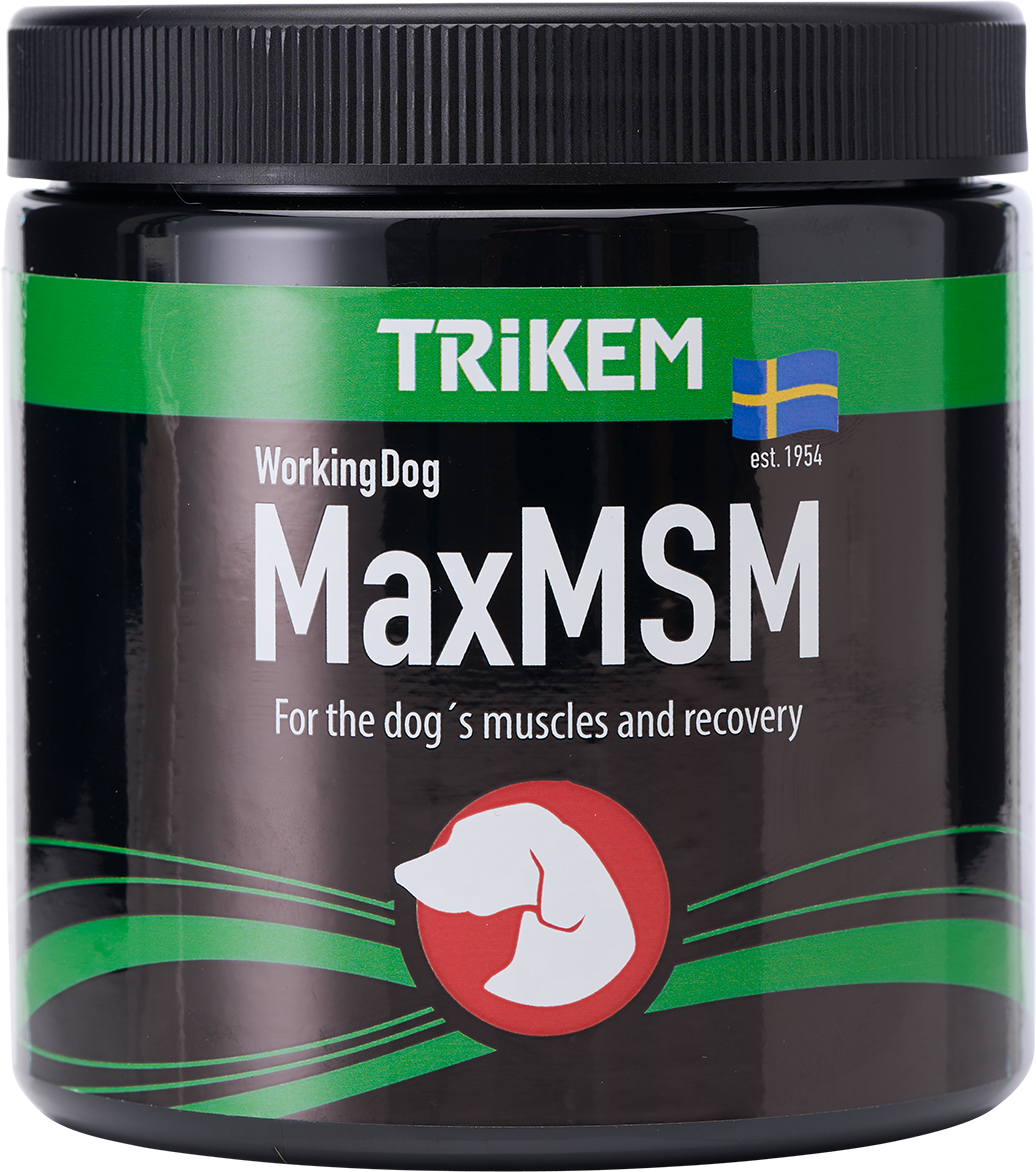 Working Dog Max MSM Plus 450g