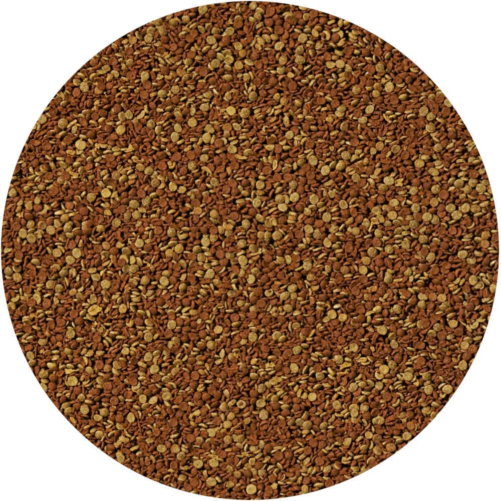 Product-img