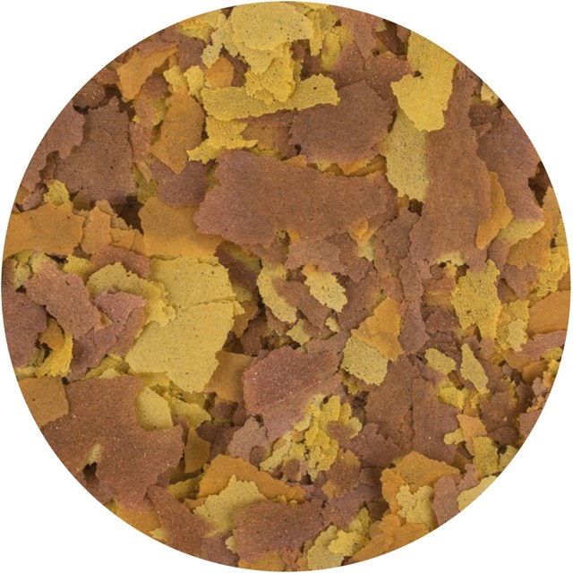Product-img