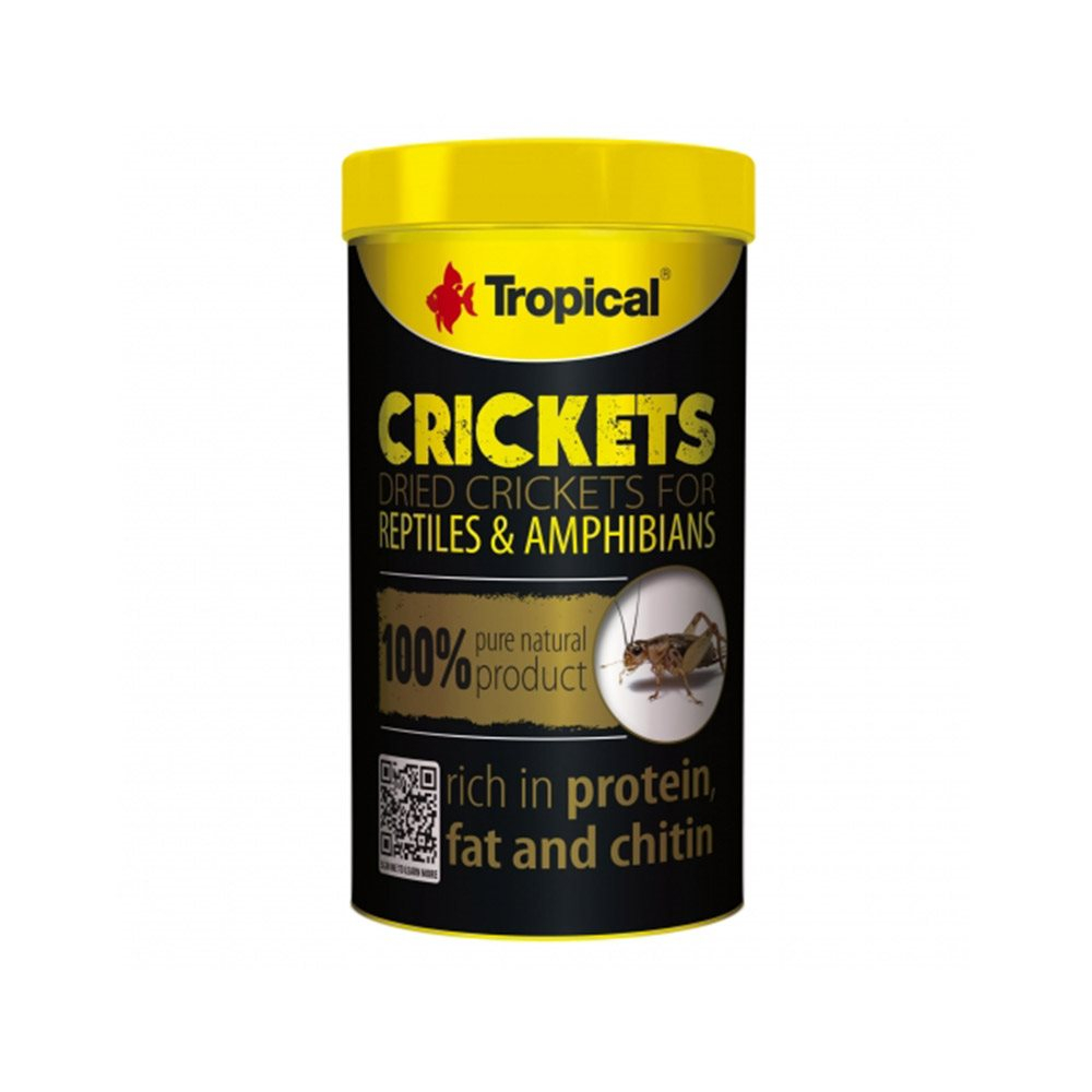 Crickets 100ml 10g