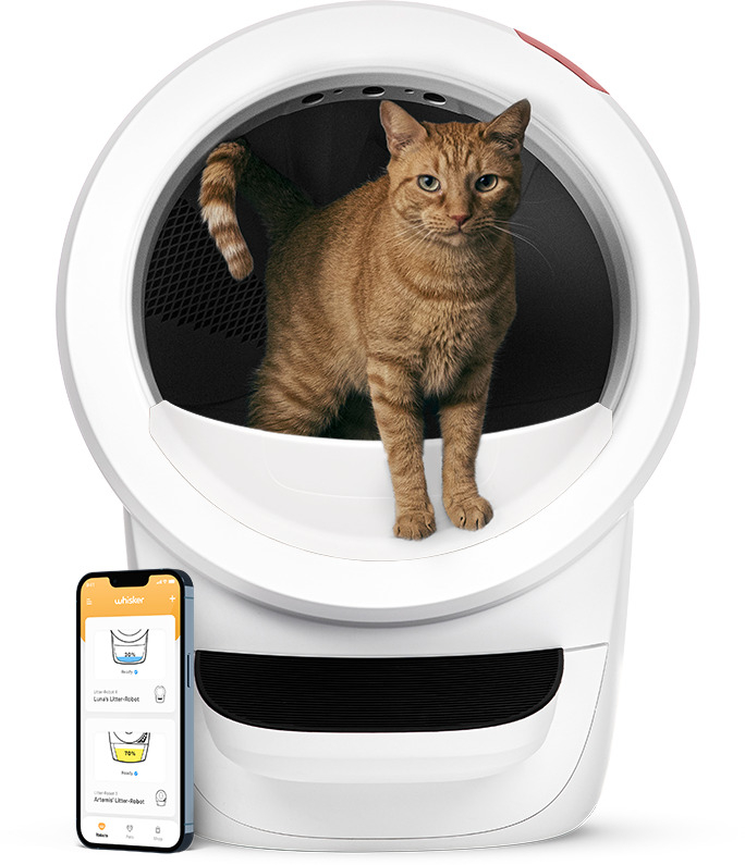 Litter Robot 4 Itsepuhdistuva kissavessa Valkoinen