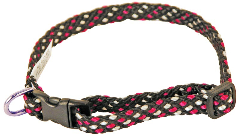 Valpehalsbånd Justerbart Svart