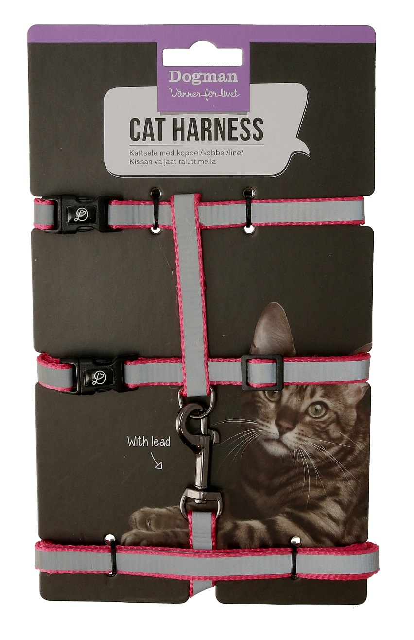 Stina kissan valjaat setti Vaaleanpunainen