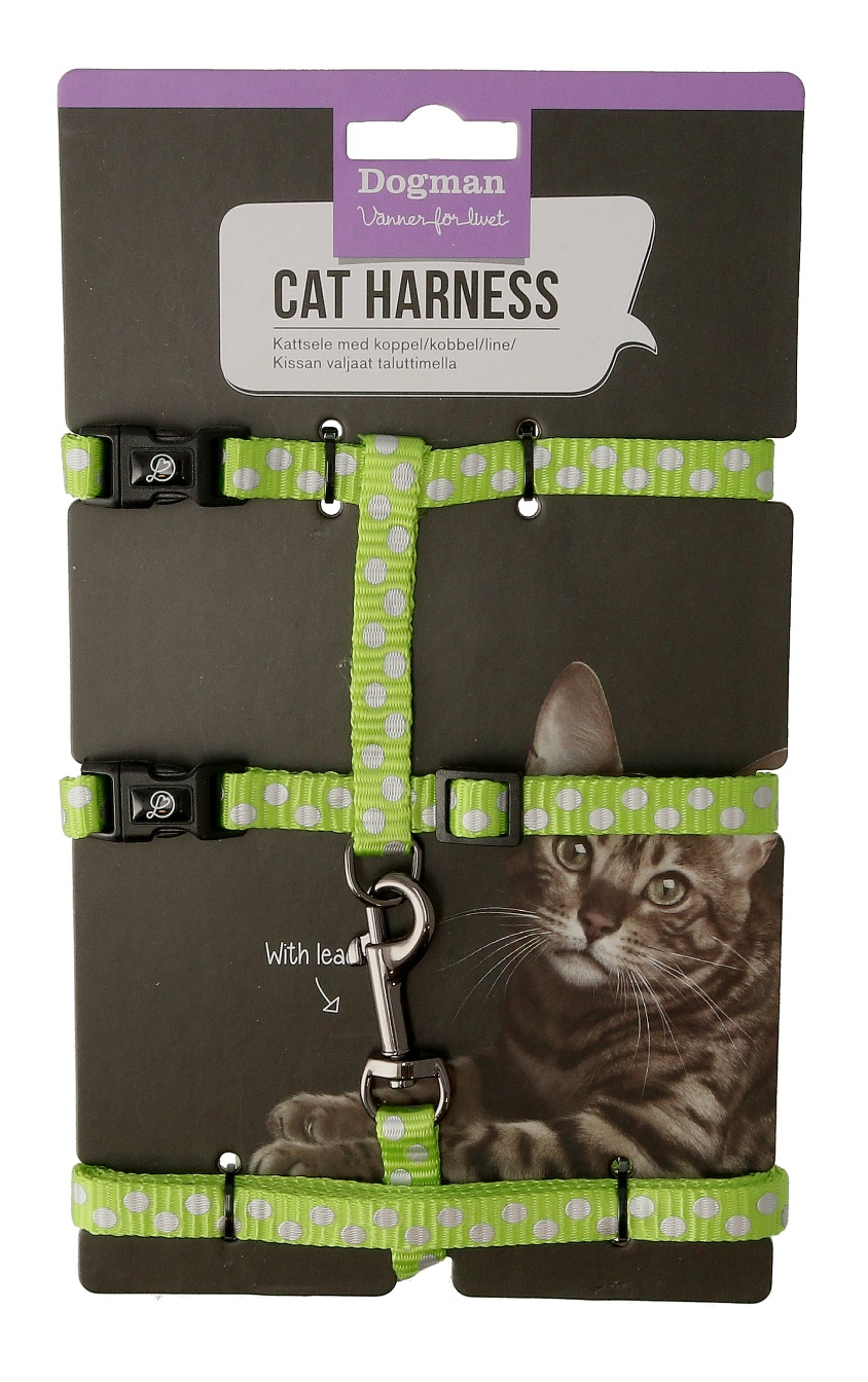 Doris kissan valjaat setti Vihreä