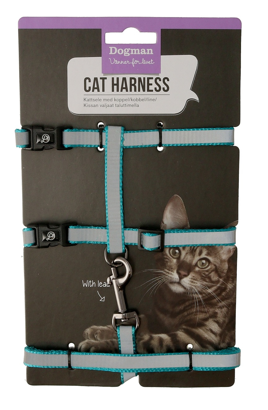 Kattsele-Set Stina Turkos