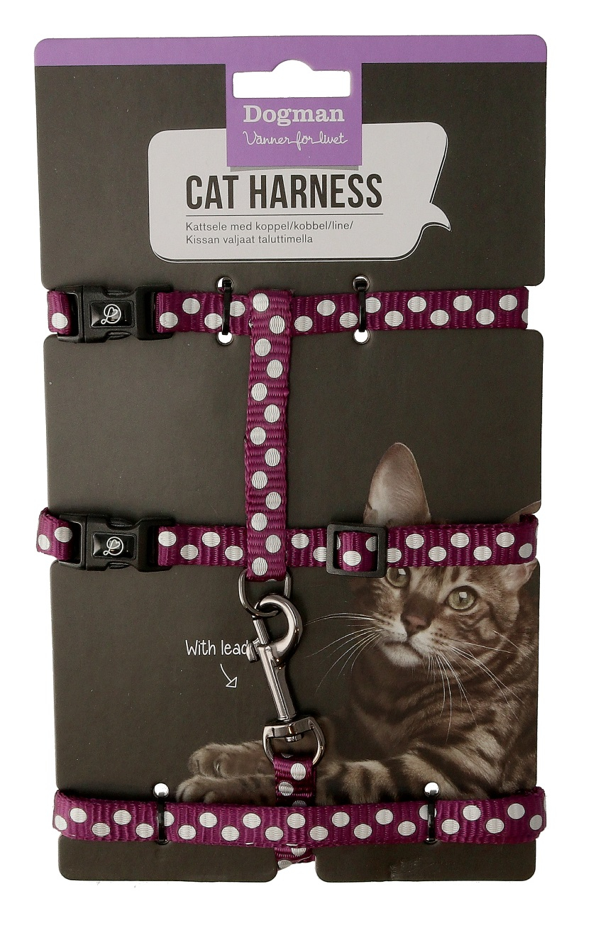 Doris kissan valjaat setti Liila