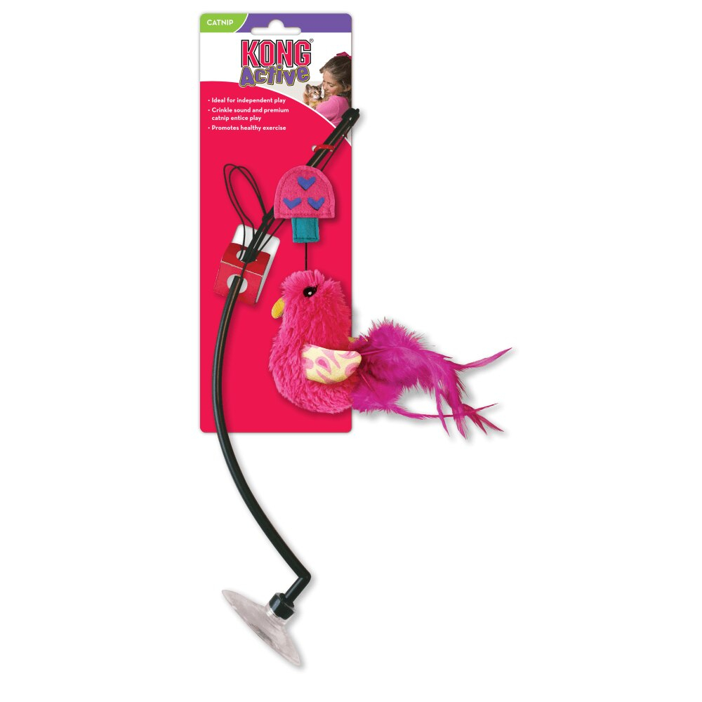 Window Teaser kissanlelu lintu Värimix