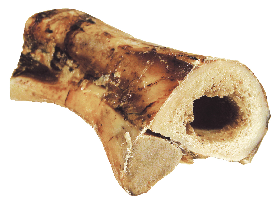 Kuivattu naudanluu luuontelo