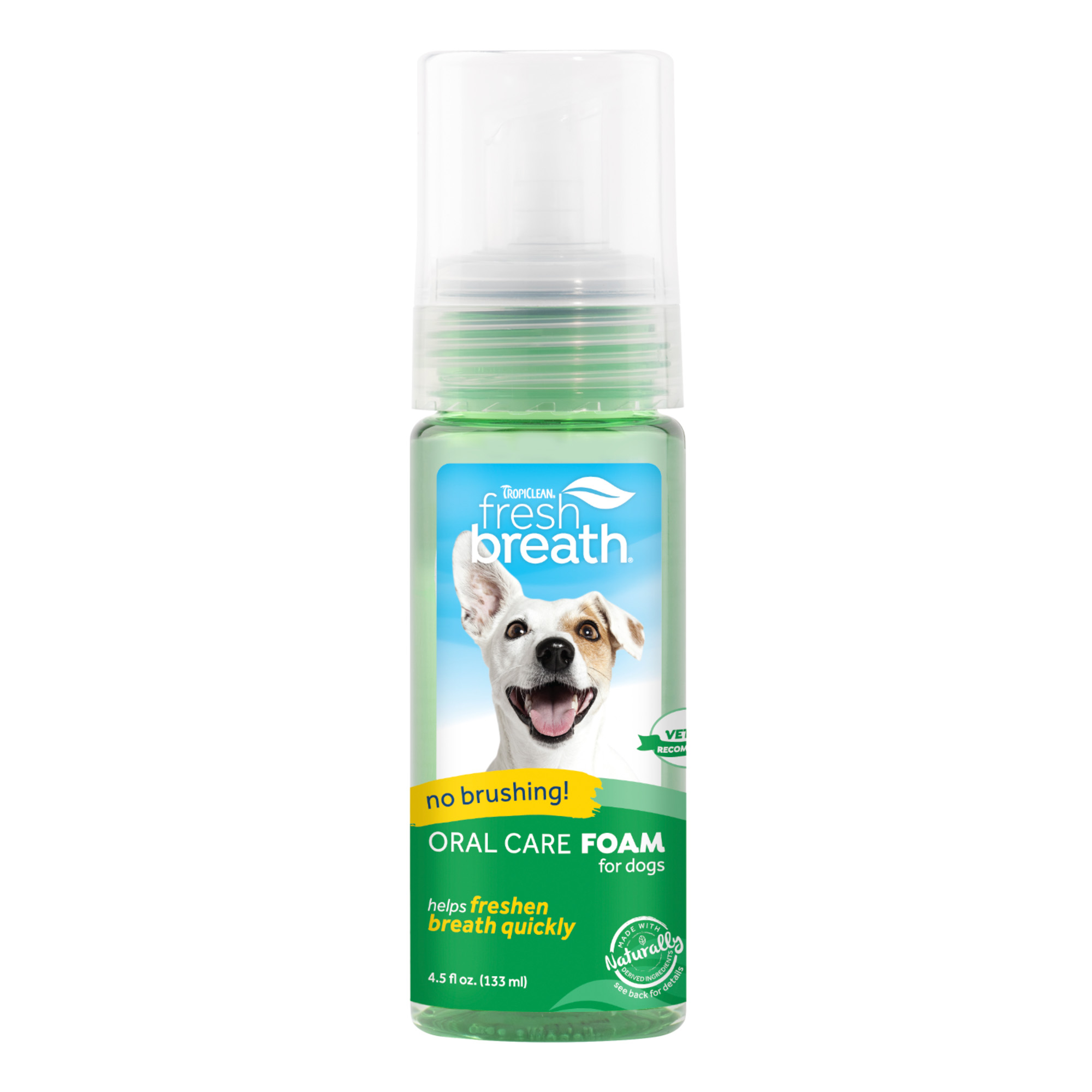 Oral Care Mint Foam 133ml