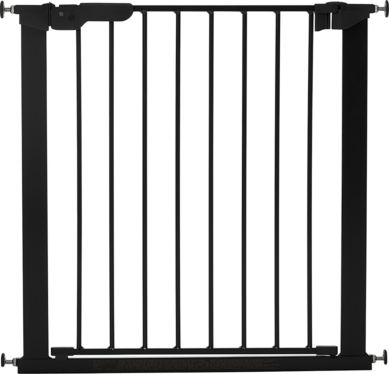 Lassie koiraportti Musta