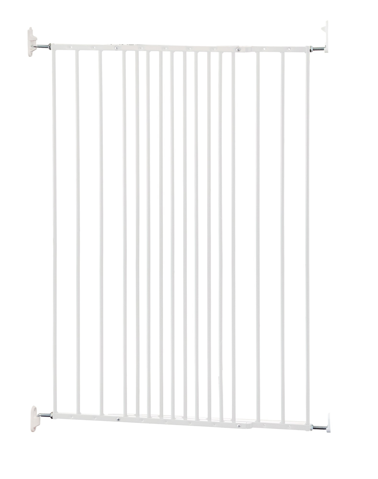 Charlie koiraportti Valkoinen