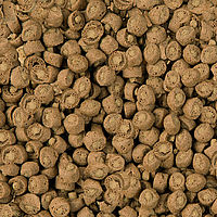 Professional Carnivore Pellets 1000ml