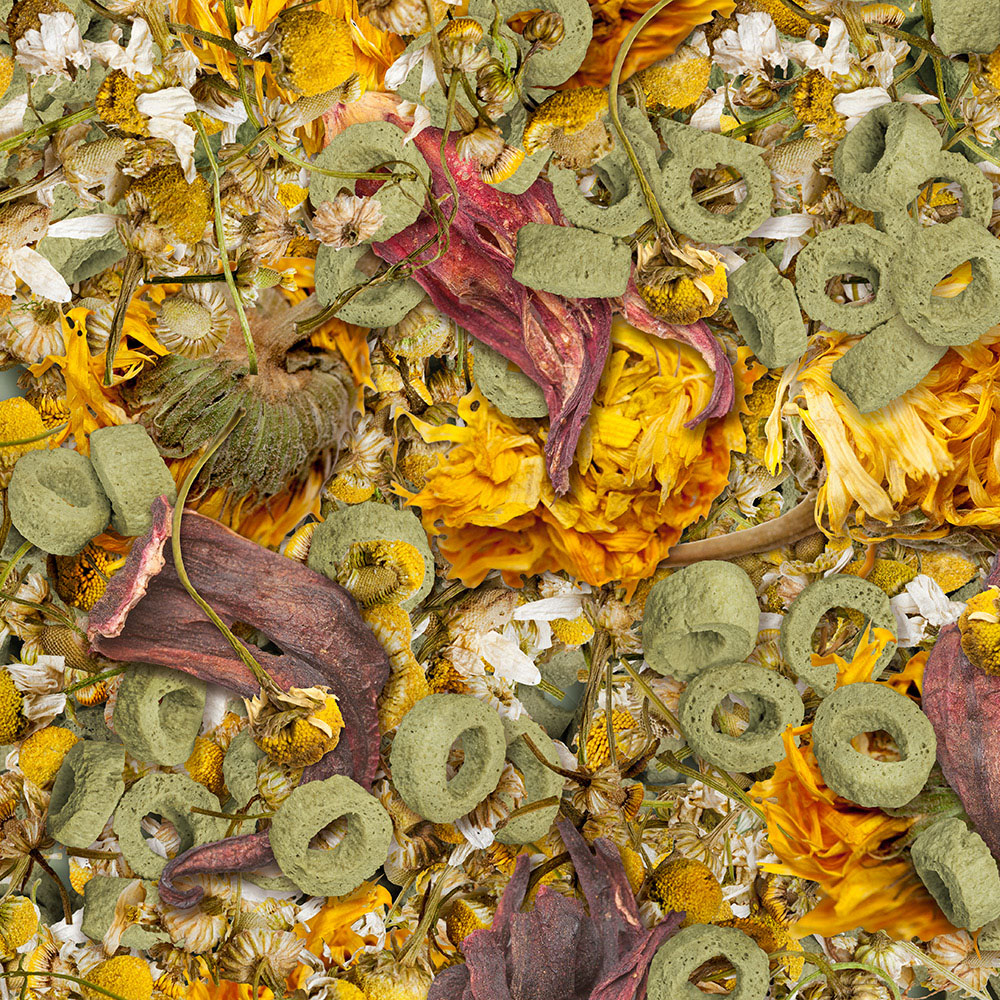 Flowers N Loops Nature Foder