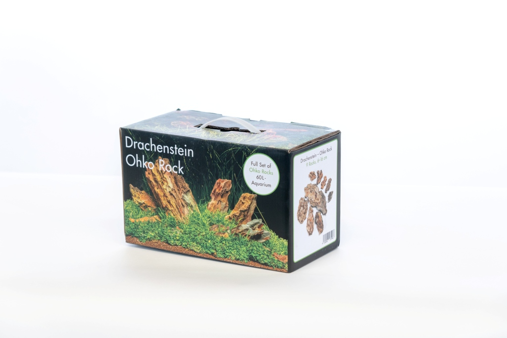 Sten Rock-Box Dragon stone