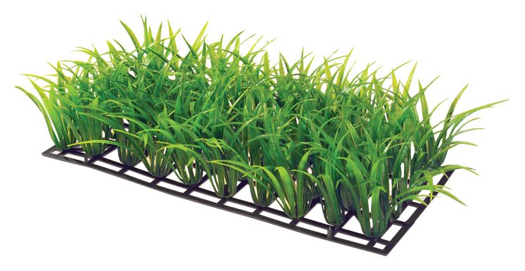 Koristekasvi Plant Mat 3 25cm