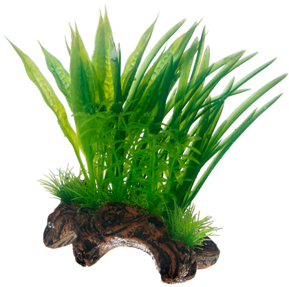 Koriste Flora Root 1 S 17cm