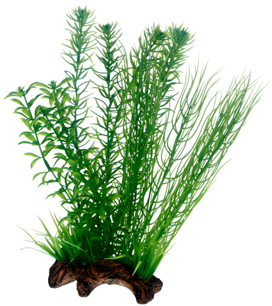 Koriste Flora Root 2L 30cm