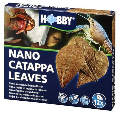 Catappa Leaves Nano mantelipuun lehti 12kpl