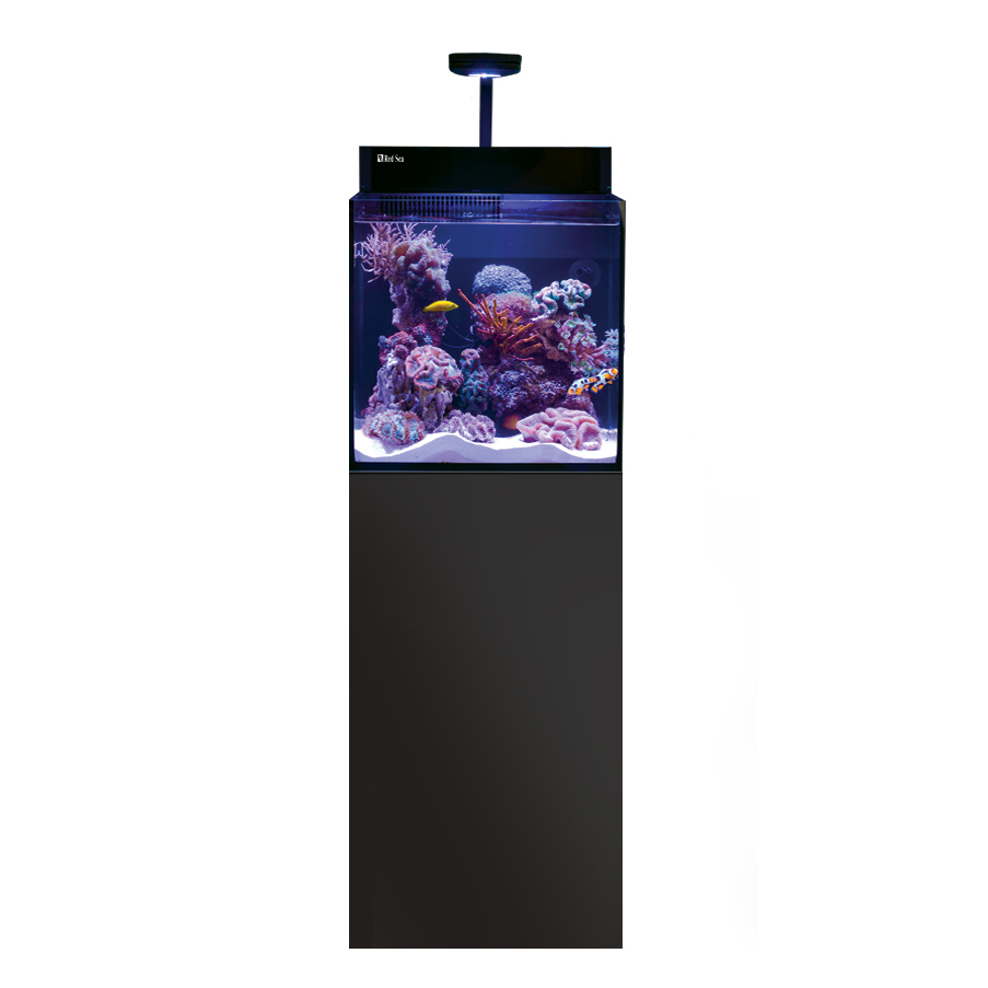 Product-img
