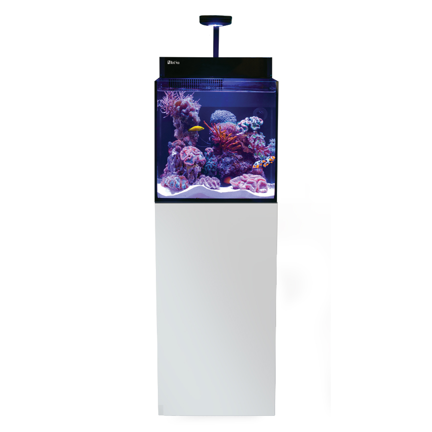 Product-img
