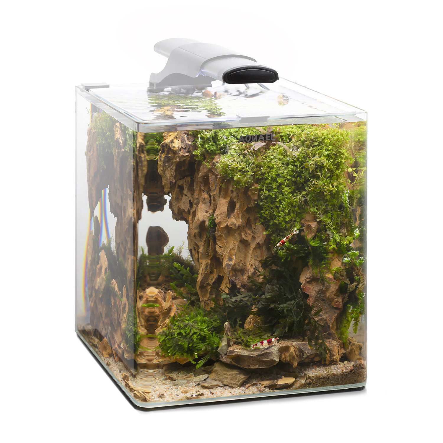 Product-img