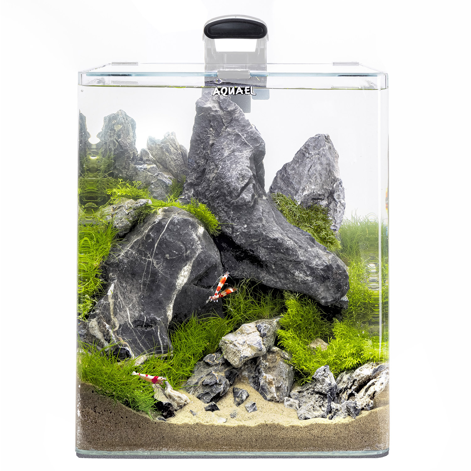 Product-img