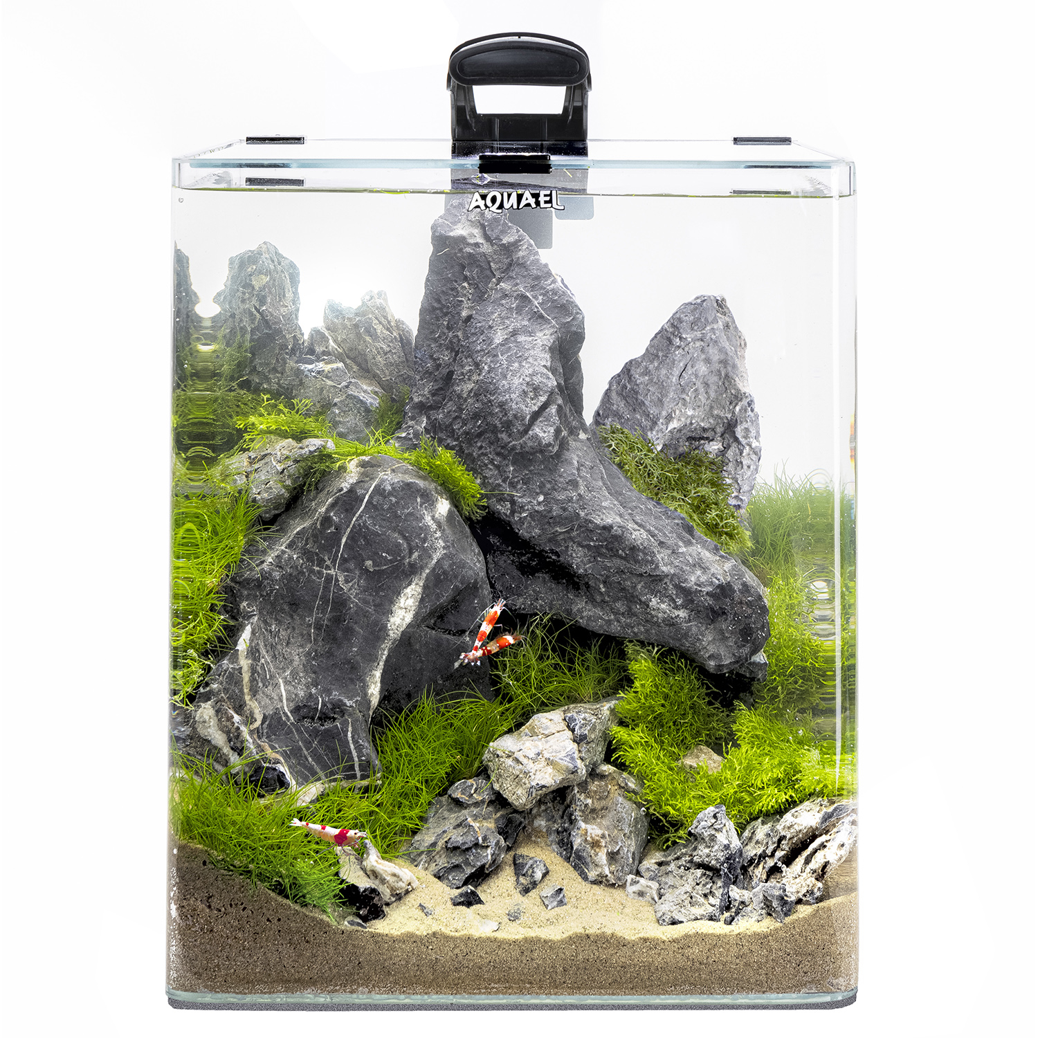Product-img