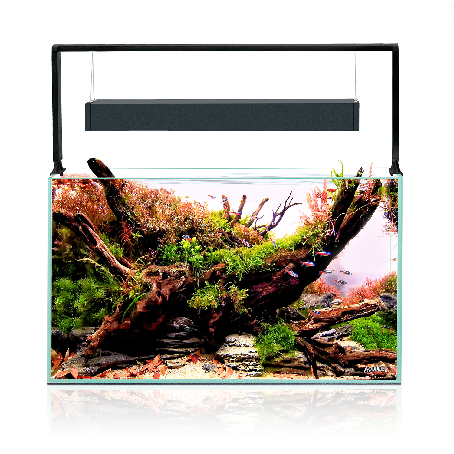 Product-img