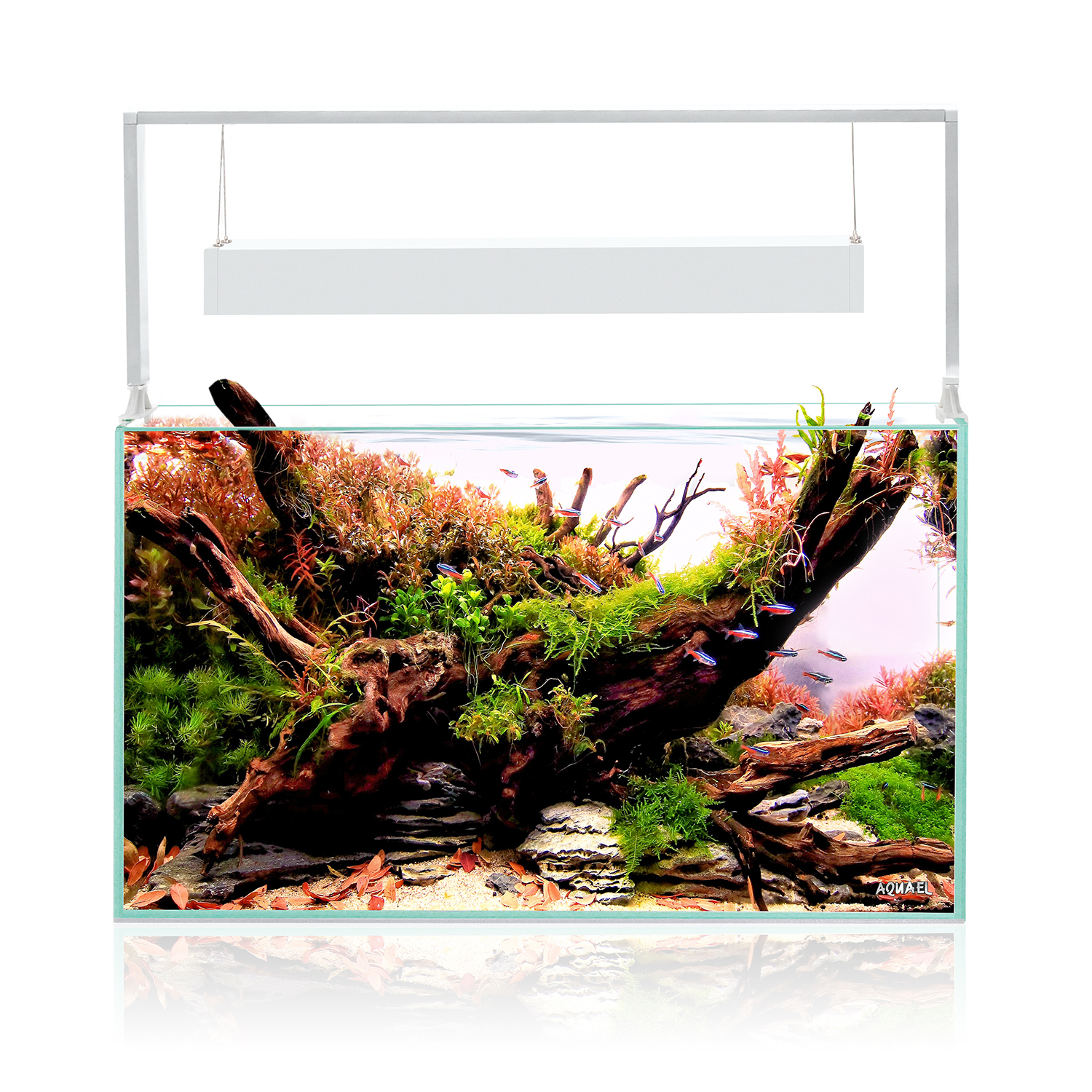 Product-img