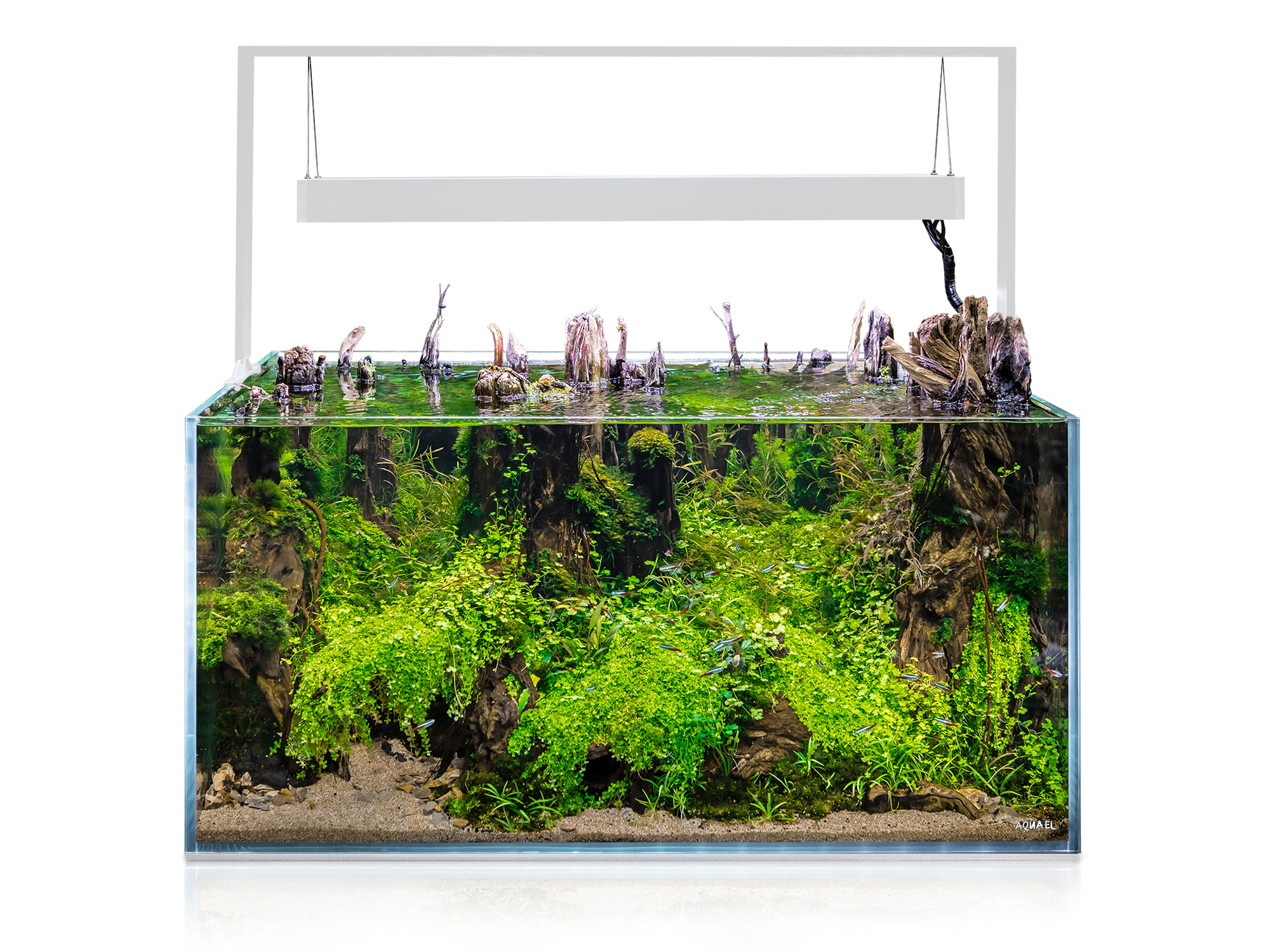 Product-img