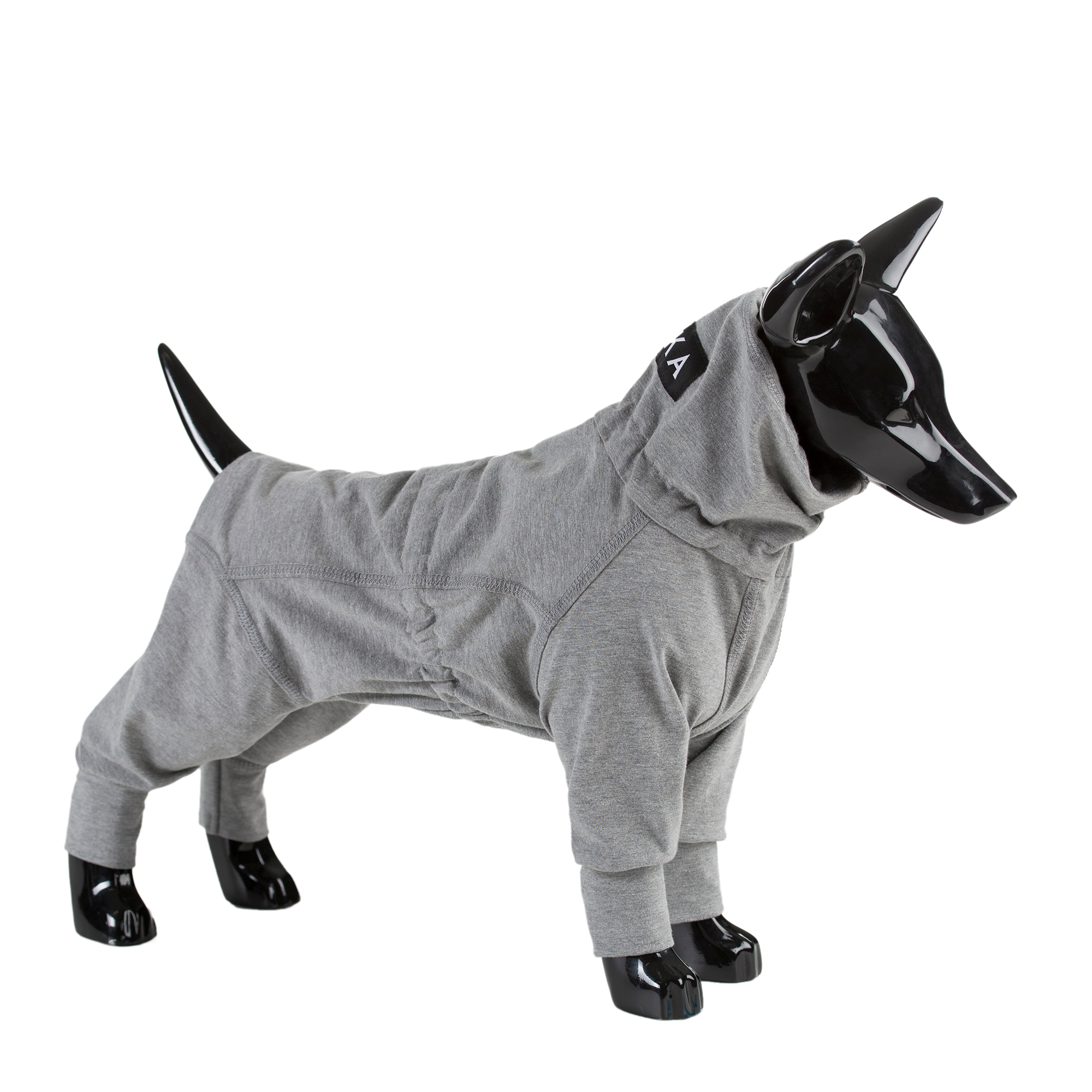 Recovery koiran haalari