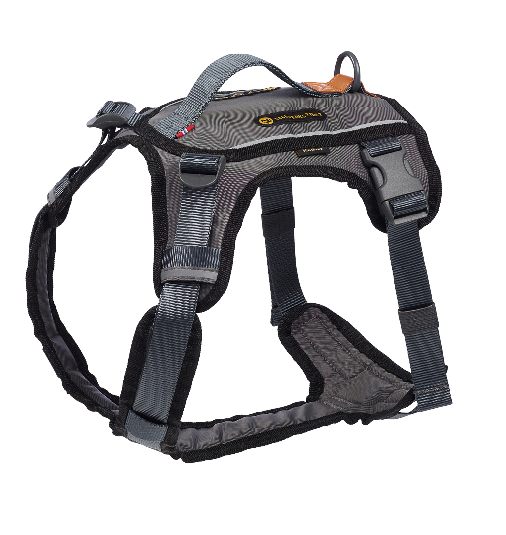 Comfort koiran valjaat